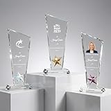 WOCOCN Personalisierte Kristall-Trophäen-Auszeichnung, 19,8 cm, individuelles Glasfoto und Text, kein Acryl, Anerkennungsgeschenk für Mitarbeiter, Ruhestand, Unternehmensdienst (Design D)