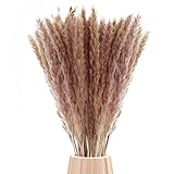 【Natürliches Trockenblumen】100% natürliche pampasgras trockenblumen, giftfreie und harmlose. Jedes pampasgras wird von uns sorgfältig ausgewählt und nach der ernte schonend getrocknet. Wir haben seine ursprüngliche farbe beibehalten, keine andere farbverarbeitung, und die federn sind voll und gleichmäßig. Daher vorsicht darf derselbe strauß getrockneter blumen teilweise dunkelbraun, teilweise hellbraun oder mit wenig natürliche lichtfarbe lila flusen gemischt sein.