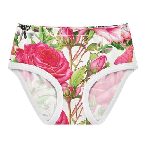 Cotton Toddler Girls Underwear Botanical Roses Butterflies Retro Panties for Girl Fun Briefs Underpants 2t
