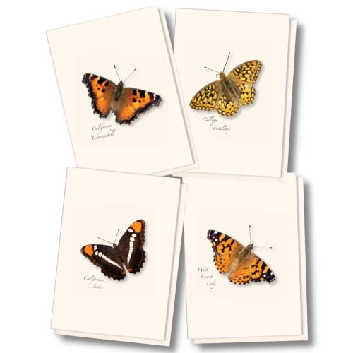 Image of Earth Sky + Water - Western Butterfly Assortment I Notecard Set - 8 Blank Cards with Envelopes (2 each of 4 styles)