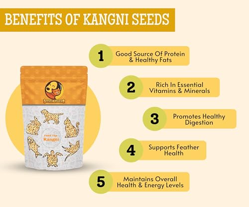 Image of Foodie Puppies Foxtail Millet Kangni Seeds Bird Food - (500gm, Pouch), High-Fiber Balanced Nutritious Daily Diet for All Bird Types
