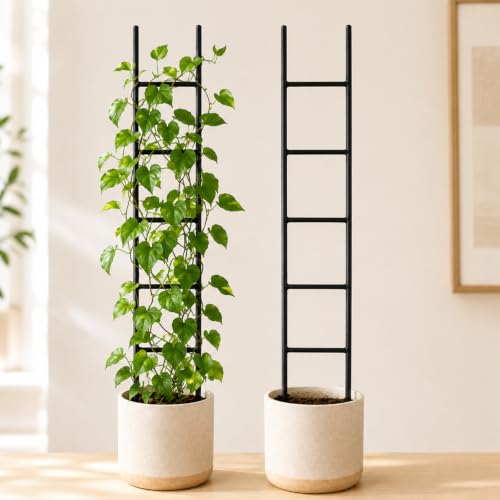 GOOOXIM 2PCS Indoor Plant Trellis, Sturdy Ladder Trellis for House Plant | Metal Trellis for Potted Plants - Durable Climbing Plant Support,Philodendron Decorative Trellis,Ideal Gifts for Plant Lovers