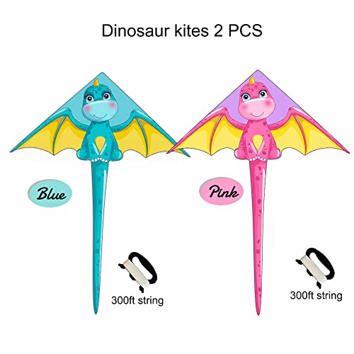 2 Pack Dragon Kite, Extremely Easy To Fly Kites, Kites For Kids Ages 4-8 8-12 Kites For Adults, Kites For Toddlers Age 3-5, Kites 2 Pack, Beach Kite, Beginner Kite, Kites For Girls, Boys #TOP3