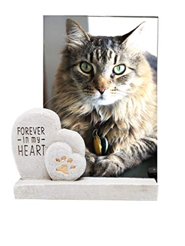 The Neko Cafe Gift Sets Forever in My Heart Dog Cat Pet Memorial