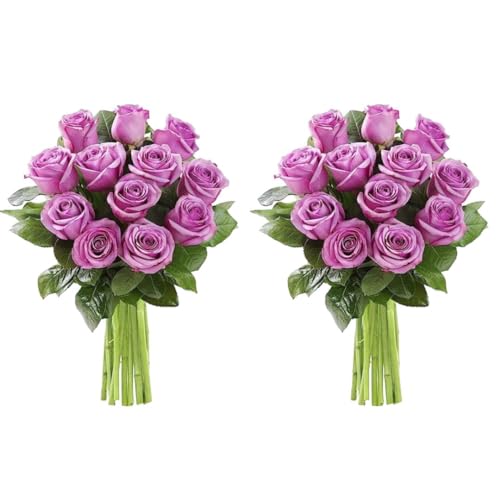 KaBloom-24 Purple Rose Bouquet, Flowers for Valentine, Mother's Day