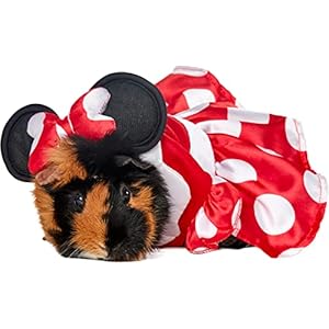 Rubie’s Disney Minnie Mouse S...