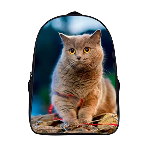 Sac à dos scolaire chat 3D pour le collège | Sac d'école adolescent grand format