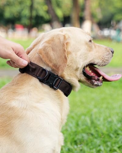 Joytale Taktisches Hundehalsband mit Griff Halsband Hund 3.8 cm Breit Hundehalsband für Große Hunde Verstellbar aus Nylon, Braun, L