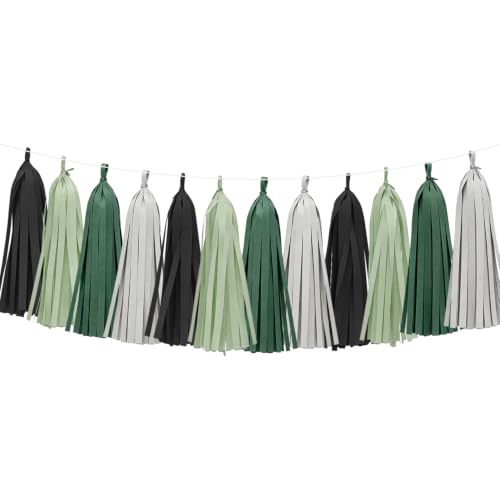 Image of Black Sage Green Tassel Garland for Wedding, Birthday Decorations, 20pcs