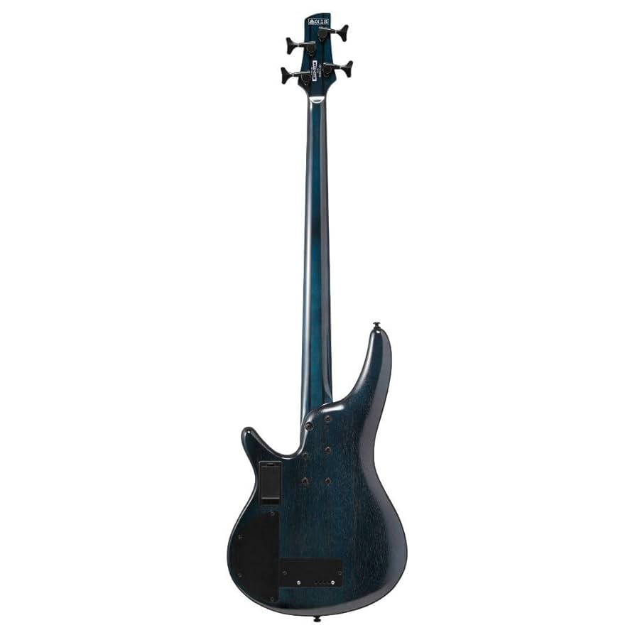 Amazon.com: Ibanez SRD900 Bass Workshop 4-String Right