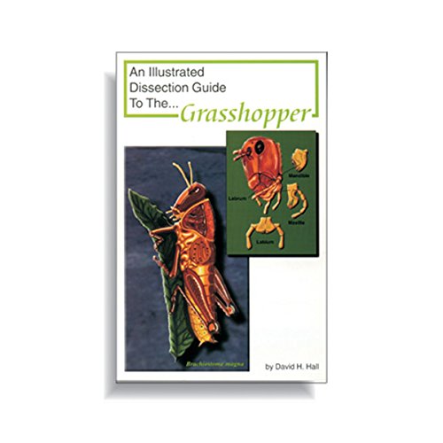 Guide de dissection vers de terre Ranaco W4R5299 pour assimiler la biologie
