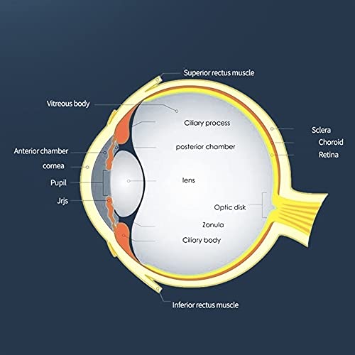 XJWWW -Óculos de Alívio de Náuseas Portáteis URG, Óculos Inteligentes Anti-Movimento, Óculos de enjo