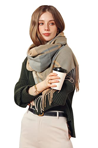 Leisofter Écharpe Femmes Élégant Cachemire Foulards Pashmina Pour Automne Hiver Écharpea Chaud de Grande Taille, 65*185 cm Cover