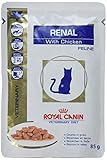 Alimentacion;Salud;Comida;Cuidado;Mascota;Mascotas;Perro;Gato;Pollo;Pescado;Ave