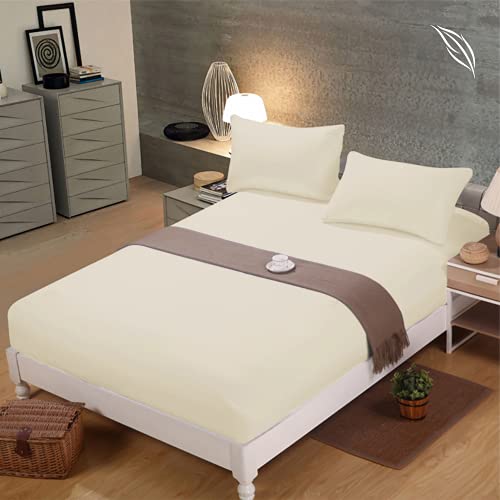 Shenaaya Fitted Sheet - Extra Deep Pocket 16 inch(40cm) with All-Around Elastic - Brushed Microfibre - Breathable, Anti-Wrinkle, Soft and Comfy Fitted Bed Sheet (Cream, Single)