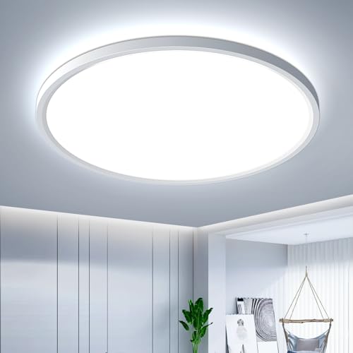 OTREN Plafoniera LED Soffitto, Lampada da Soffitto 6500K, Lampadario Bagno Rotonda per per Camera da Letto, Bagno, Cucina, Soggiorno, Ufficio, Balcone, Ø23CM