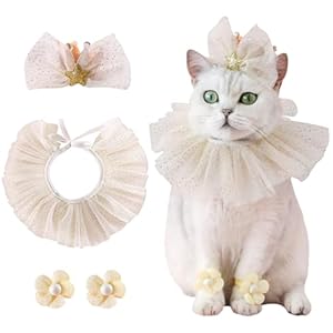 Kunyeah Haustier Geburtstagshut Schal Set