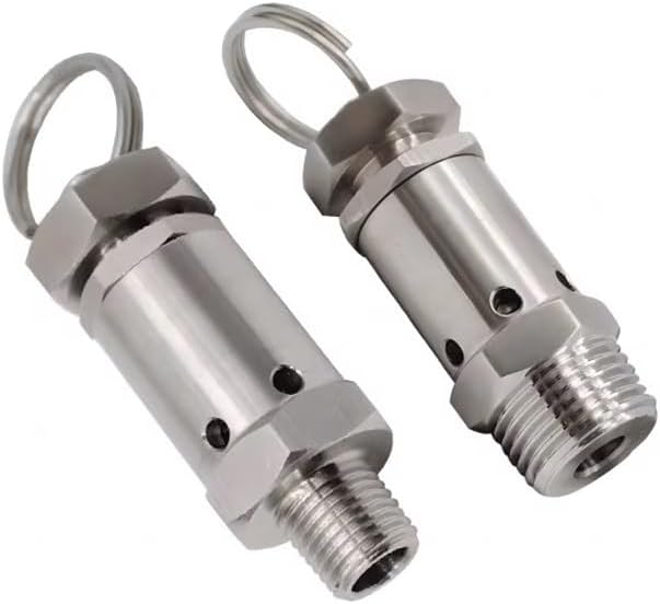 1/4 "1/2"BSPT雄ねじ1-10バー排気304ステンレススチールスプリングバルブエアコンプレッサー用(1/4