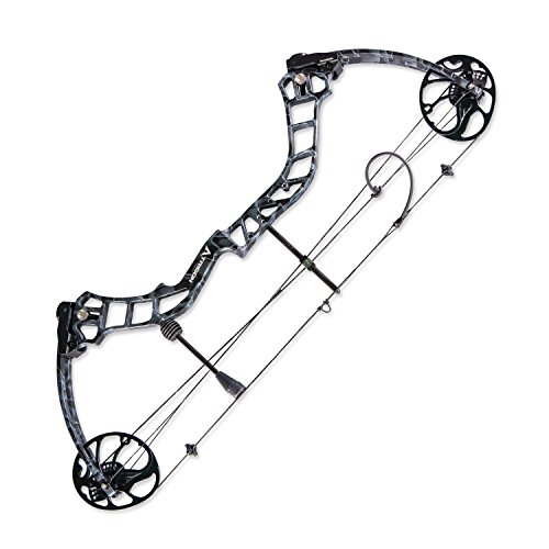TOPOINT Trigon Compound Bow Full Package,CNC Milling Riser,USA Gordon Composites Limb,BCY String,19"-30" Draw Length,19-70Lbs Draw Weight,IBO 320fps (Black CAMO)