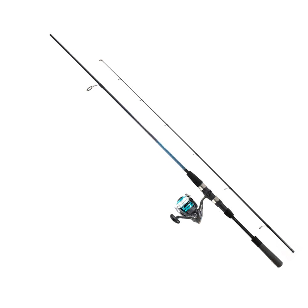 Daiwa PACKFSSW02 - Set de caña+carrete (762 HM, Hfs + Fs, 3000-2,29 m, 400 g, P.10-35 g, Enc.119 cm, Tmv.82 cm)