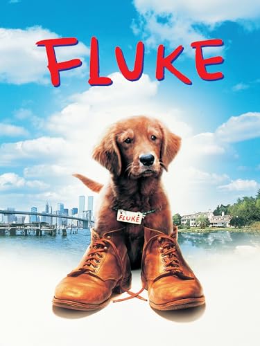 Lembrancas de outra vida