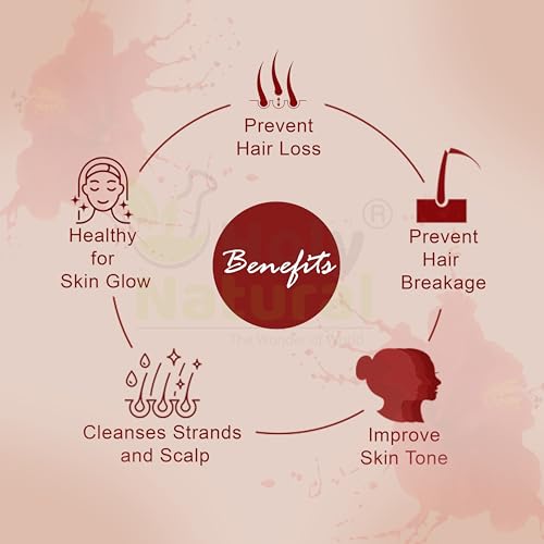 Holy Natural Hibiscus Powder (100gm), Hibiscus Rosa Sinensis Powder, For Hair Pack and Face Pack, Hair Growth, Good Hair Conditioning, Skin Glow, Fairness, Body Wash. Pure and Natural (100 gm).