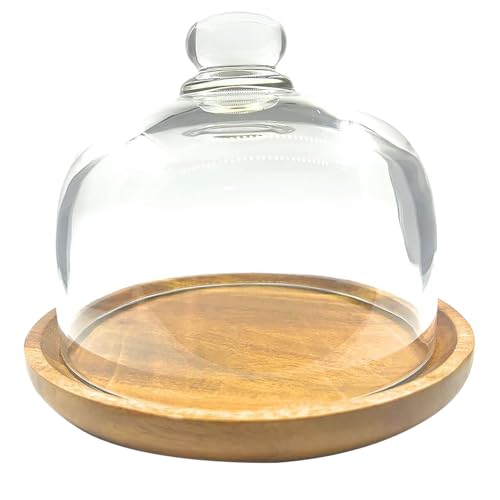 6 Inch Wooden Base Small Cake Display Stand with Glass Dome,Cloche Clear Glass Bell Jar Cover for Dessert Cheese Candy Plants Succulents