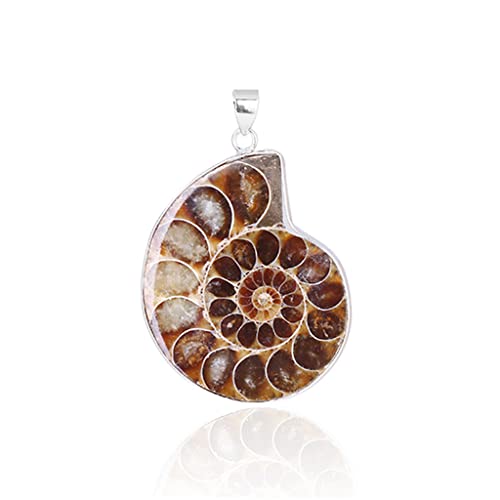 Collier avec pendentif enveloppé en ammonite pour vos tenues bohèmes