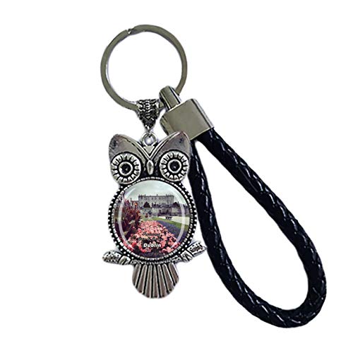 Powerscourt House & Gardens Dublin Irlanda Llavero de cristal en forma de búho llavero de recuerdo decoración hombres mujeres colgante accesorios regalo, Dublín Irlanda, 3.5 × 5.5 cm