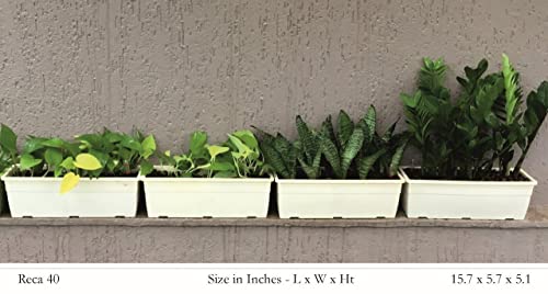 Hug A Plant | Reca 40cm Rectangle Window Planter | Pot for Home & Garden (40CM | 15.7INCH, Pack of 4, Ivory)