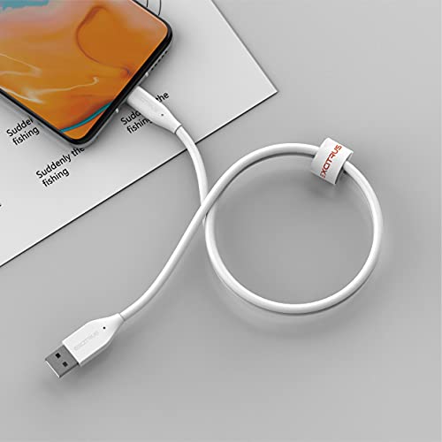 Excitrus Usb Type-C To Type-A Cable (2-Pack) Compatible With Samsung Galaxy S9 S10 S8 Plus/Note9/8 A60 A50, Moto G, Lg And Other Usb C Charger #TOP6
