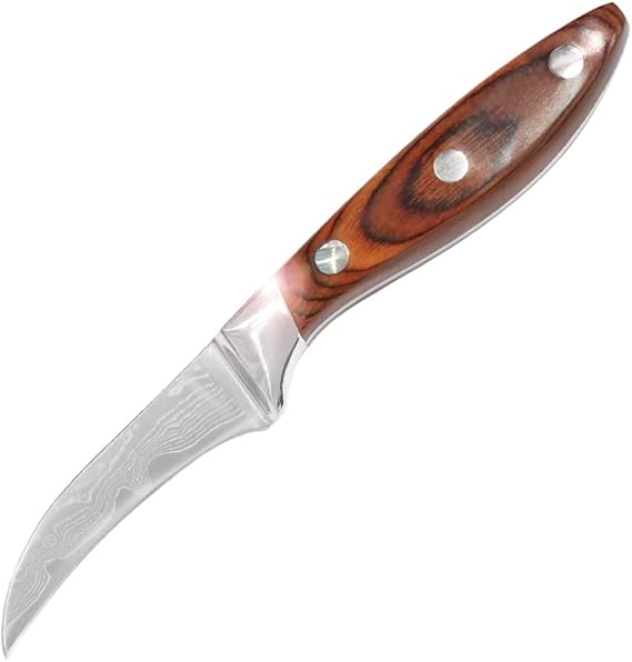3Inch Damascus Paring Knife with Damascus Steel Tourne