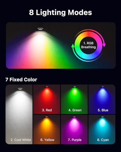 View 5