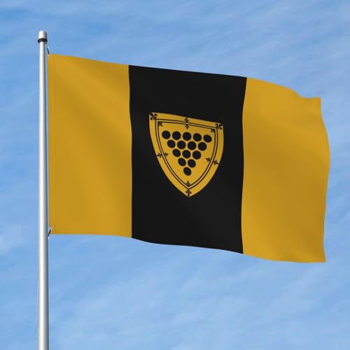 Drapeau du comté de Cornwall de qualité extérieure aux finitions soignées