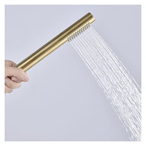 Pommeau de douche jet orientable économiseur d'eau or brossé