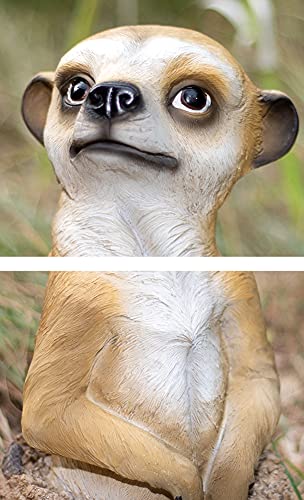 Statue de modèle de suricate : le cadeau idéal pour les amoureux de jardinage et de nature