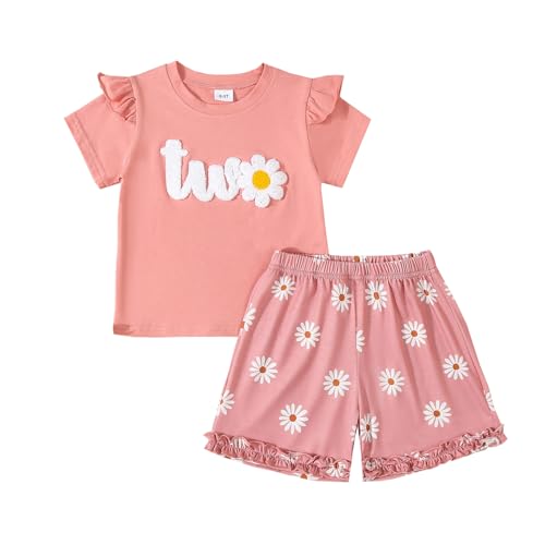 Infant Baby Girl Birthday Outfit Daisy Theme 1-2 Years Old Birthday Outfit Shirt Floral Shorts Set