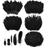 500 Pcs Halloween Black Assorted Crafts Feathers 4 Styles Mixed Feathers Black Feathers for Crafts...