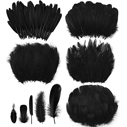 500 Pcs Halloween Black Assorted Crafts Feathers 4 Styles Mixed Feathers Black Feathers For Crafts Chicken Turkey Goose Feathers Supplies For Diy Wedding Home Party Costume Clothing Accessories #TOP25