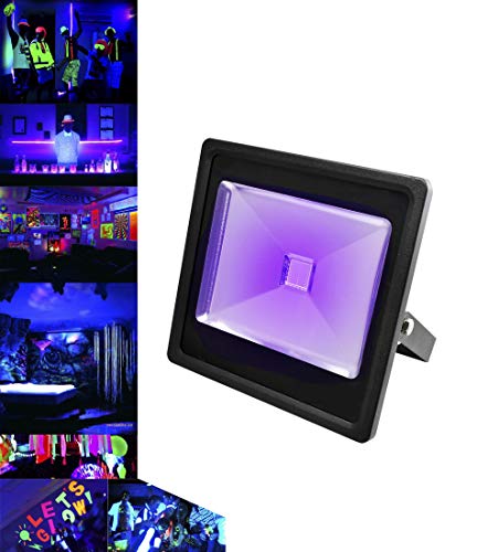 Fluortronix 30W UV LED Blacklight Flood Light | Ultraviolet Lamp ...