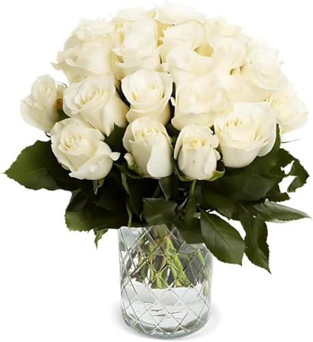 Rosenstrauß: 40 Weiße Rosen, Frische Floristen Qualität, 40-50cm Durchmesser, Blumenversand