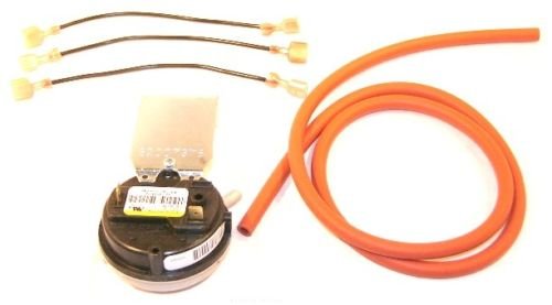 Rheem 42-24194-82 Pressure Switch - Amazon.com