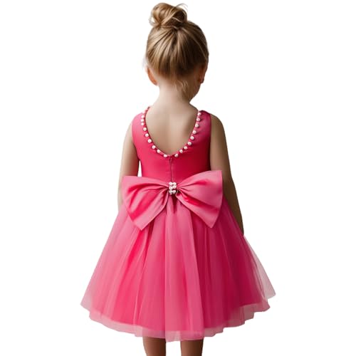 TTYAOVO Flower Girl Dress Backless Wedding Party Tulle Dresses