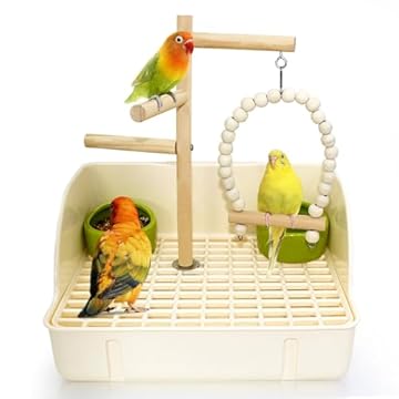 best bird play stands with food bowls