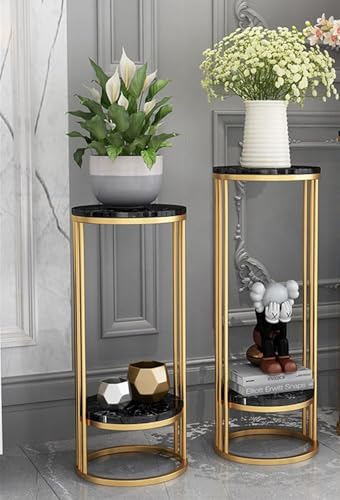 Image of Plant Stand Indoor Outdoor Metal, 2-Tier Modern Plant Shelf, Corner Flower Pot Holder, Plant Stand Table for Living Room Balcony Patio Garden Entryway Set Of 2 (Gold & Black)