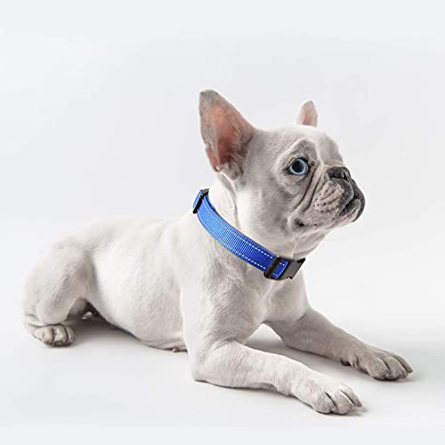 Image of HEELE Dog Collar, Reflective Dog Collar, Soft Neoprene Padded Breathable Nylon Pet Collar Adjustable for Small Dogs Puppy, Royal Blue, XS(7.87-11.81 inch)