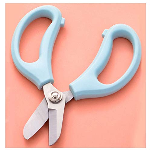 TONZN Gardening pruning shears plant shears wide head flower branch shears manual pruning shears ladies gardening tools (B) (B)