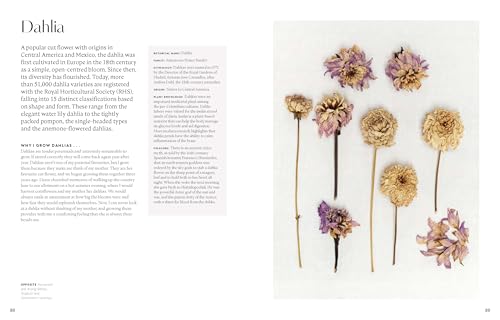 Stitching with Nature: Creating material magic with the natural world – vue 4