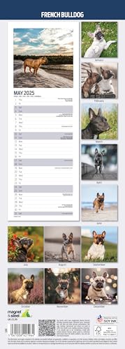 French Bulldog 2025 Slim Calendar - Image 2