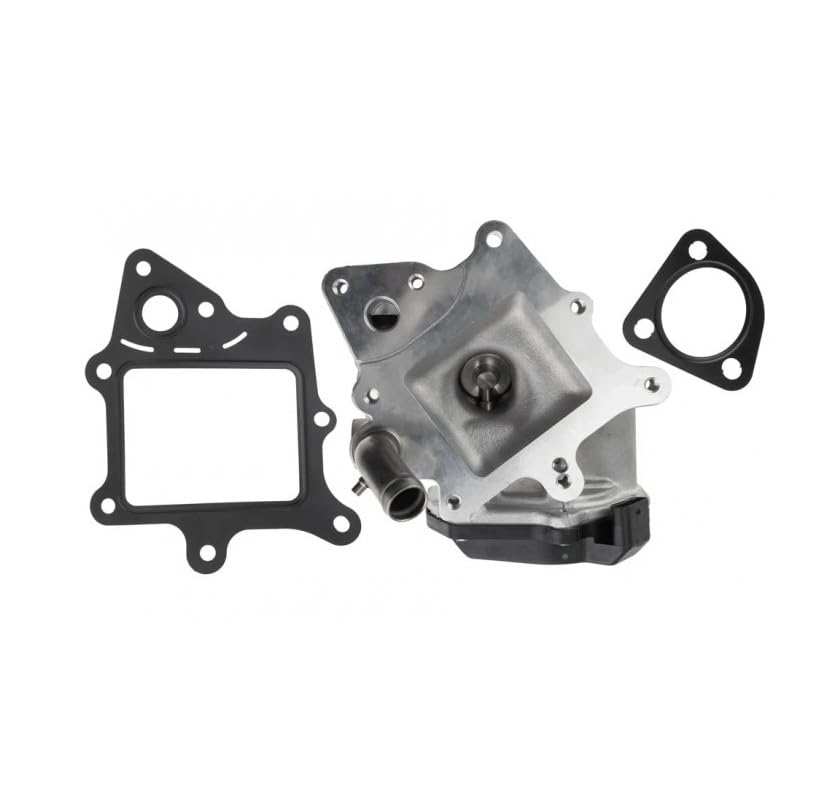 Valvola EGR Ricircolo Gas di Scarico 2.3 D 3.0 D per Jumper II Ducato III Boxer Reambio OEM 71795127 504373660 71795169 71795170 162645 V24630030 717730165